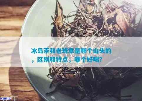 什么是冰岛茶和老班章茶？它们的特点及区别是什么？