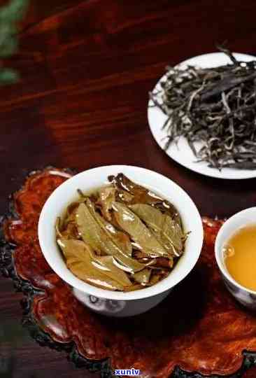 什么是冰岛茶和老班章茶？它们的特点及区别是什么？