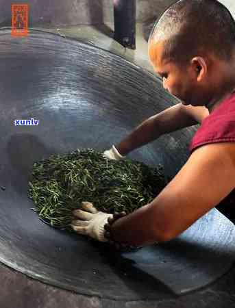 布朗山布朗族老班章-布朗山布朗族乡老班章茶农协会