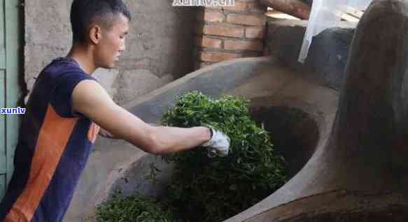 普洱 *** 流程，探秘普洱茶的 *** 流程：从采摘到饮用的全过程