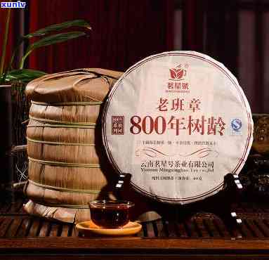 老班章800年古树-老班章800年古树有吗