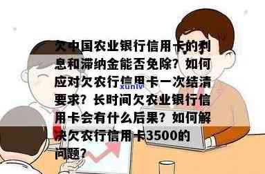 农业信用卡逾期怎么减免利息及滞纳金