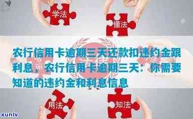 农业信用卡逾期怎么减免违约金，减免农业信用卡逾期违约金的有效 *** 