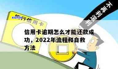 2022年信用卡逾期流程及自救办法-2022年信用卡逾期流程及自救办法最新