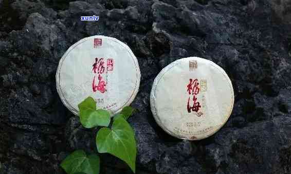 福海老班章2013茶饼价格及正宗性