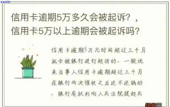 分期五万信用卡逾期了怎么办？