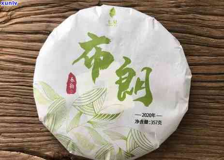 老班章茶树叶什么样-老班章的茶树品种