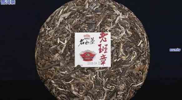 如何辨别老班章茶饼真假及品质，价格及熟生茶辨别