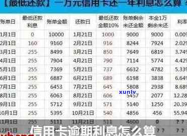 信用卡逾期利息5万-信用卡逾期利息5万怎么算