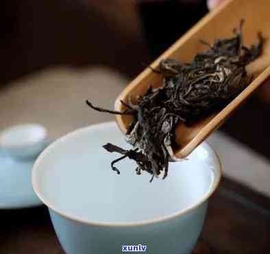 普洱茶真相：揭秘茶中猫腻与陷阱