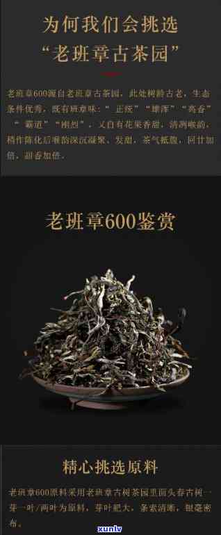 500年老班章古树茶价格及相关价格表