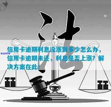 信用卡逾期违约率上涨-信用卡逾期违约率上涨怎么办