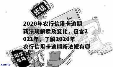 2020年农行信用卡逾期新法规，2020年农行信用卡逾期新法规：了解最新变化，保护您的信用！