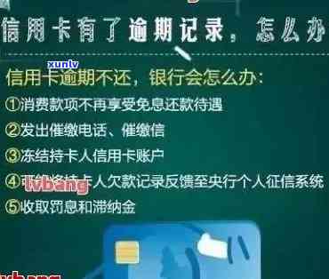 关于信用卡逾期的新闻-关于信用卡逾期的新闻报道