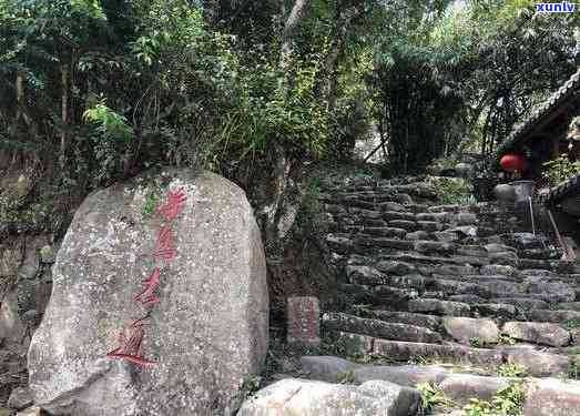 云南普洱属什么区管辖和县区？