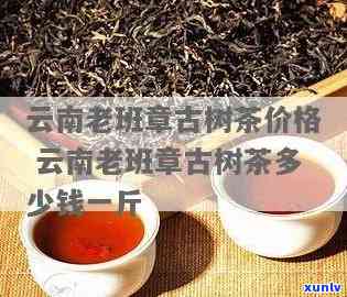 云南老班章古树茶价格及产地-云南老班章古树茶多少钱一斤