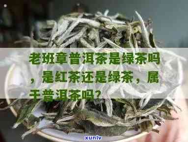 老班章茶属于绿茶吗-老班章茶属于红茶还是绿茶