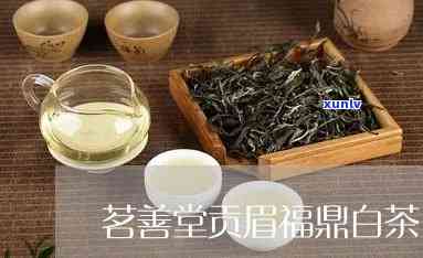 茗善堂白茶价格，茗善堂白茶价格：品质与物超所值的完美平