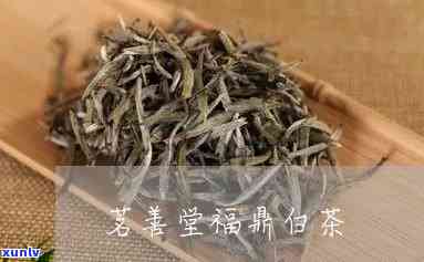 茗善堂白茶价格，茗善堂白茶价格：品质与物超所值的完美平