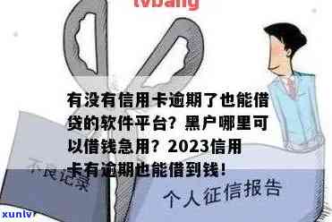 有没有什么软件信用卡逾期还可以借的，软件信用卡逾期急需借款？这些 *** 或能帮到你