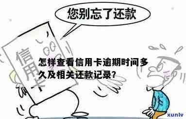 信用卡几天算逾期记录怎么查