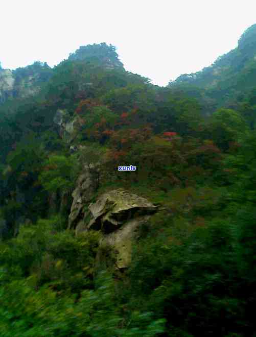 鲁山玉石翡翠原石价格及批发地点