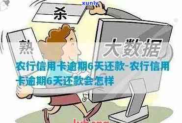 农业信用卡最多能逾期-农业信用卡最多能逾期多久没事