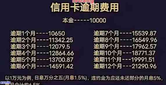 2019信用卡逾期总金额-2019信用卡逾期总金额是多少