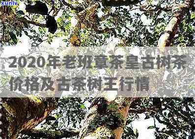 老班章茶王历年价格-2020年老班章茶王价格