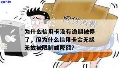 无逾期信用卡降额怎么回事？全部信用卡秒拒，为什么？