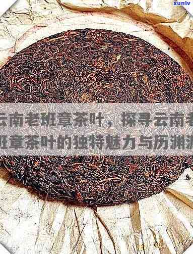 云南老班章茶叶，探秘云南老班章茶叶：传承与品质的故事