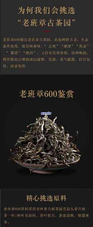 老班章500克生茶价格表及口感