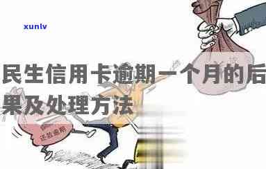 民生信用卡逾期分期案例与解决方案