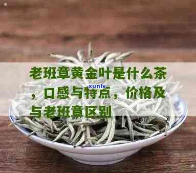 大益普洱茶加盟 *** ：云南普洱茶 *** 商机多少钱一路领先