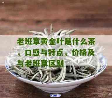 古树茶老班章黄金叶-老班章黄金叶的价格