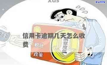 信用卡逾期怎么收费每天-信用卡逾期怎么收费每天都要还