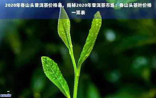 云南山头茶叶老班章的2020年茶叶价格