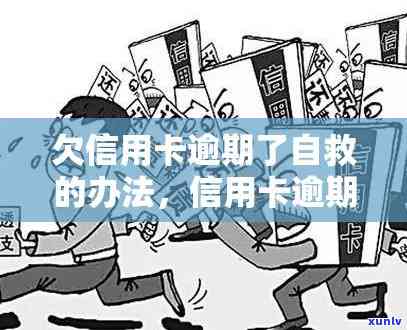 信用卡逾期了怎么上-信用卡逾期了怎么上岸