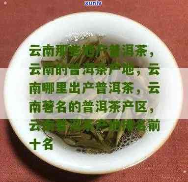 云南普洱产什么茶，探秘云南普洱：著名茶叶之乡产出何种茶叶？