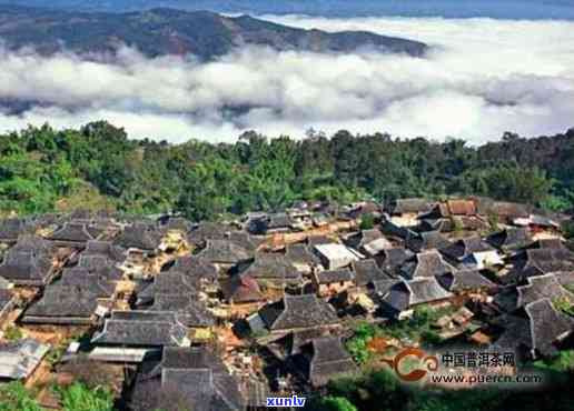 老班章布朗山全景图-老班章 布朗山