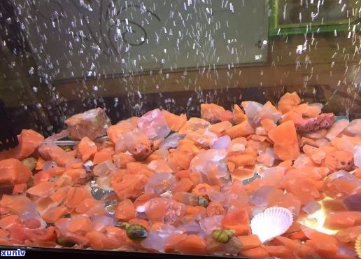 玛瑙石放鱼缸里好不好，将玛瑙石置于鱼缸中：明智之举还是潜在风险？