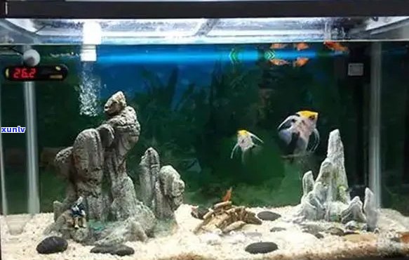 鱼缸里放玛瑙石对鱼有影响吗？
