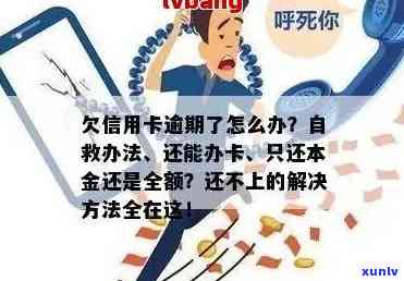 信用卡逾期怎么还不起钱？自救办法和后果解析