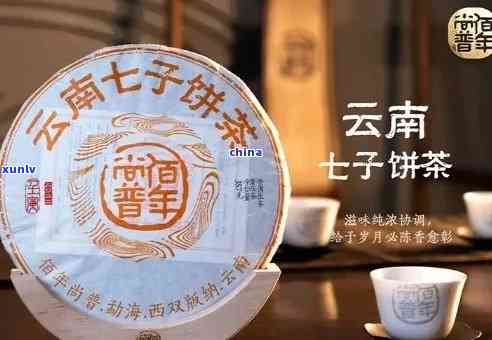 云南七子饼茶300年树龄老班章，品鉴传承：探秘300年树龄老班章，云南七子饼茶的珍贵之旅