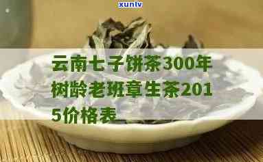 云南七子饼茶300年树龄老班章，品鉴传承：探秘300年树龄老班章，云南七子饼茶的珍贵之旅