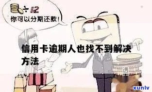 信用卡逾期找不见人-信用卡逾期找不见人怎么办