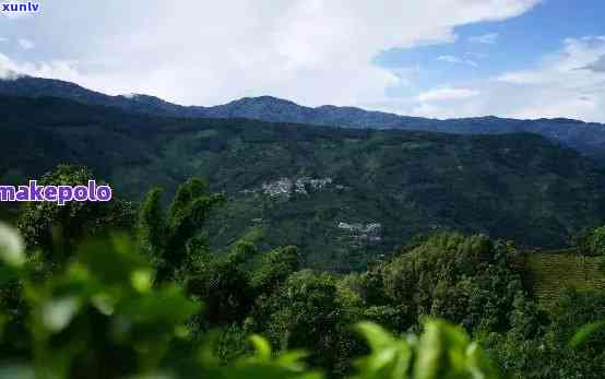 景谷县普洱茶山出名吗，景谷县普洱茶山：一座名副其实的茶叶胜地