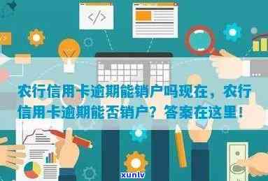 农行信用卡逾期账户关闭怎么办？