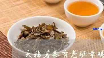 昆明天福茶业老班章-天福茗茶老班章