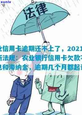 2021年农业银行信用卡逾期新法规，2021年农业银行信用卡逾期：全面解读新法规